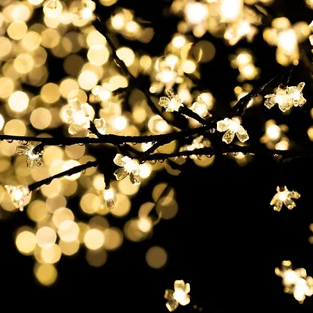 Marina By Basquelidays Fontarrabie